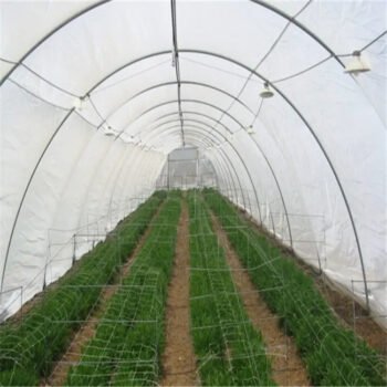 HDPE UV Plastic Mesh Resistant Greenhouse Insect Net for Green House